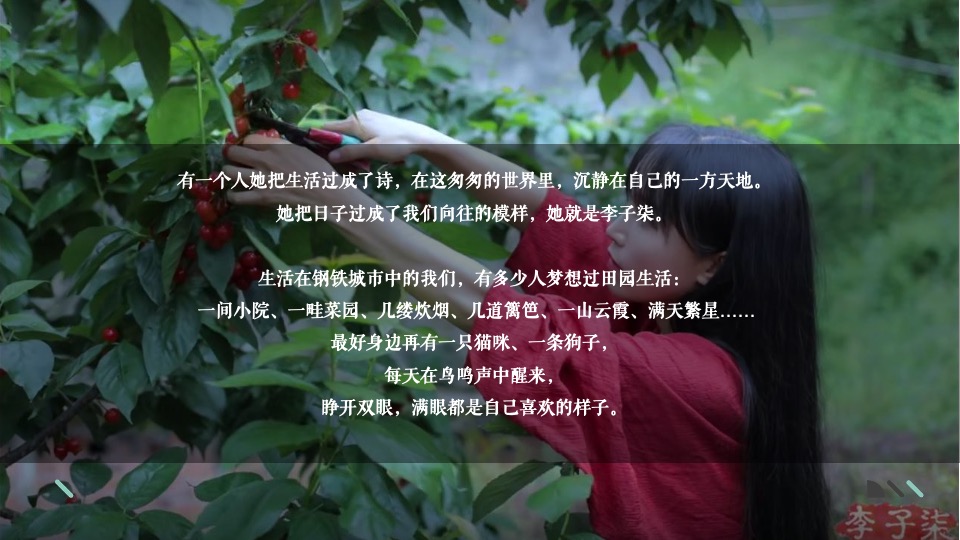 地产项目圈层（品花归心 简而有韵主题）活动策划方案