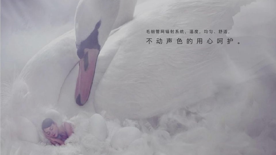 金茂+路劲春秋金茂府整合传播全案 重磅-创邑 【豪宅】