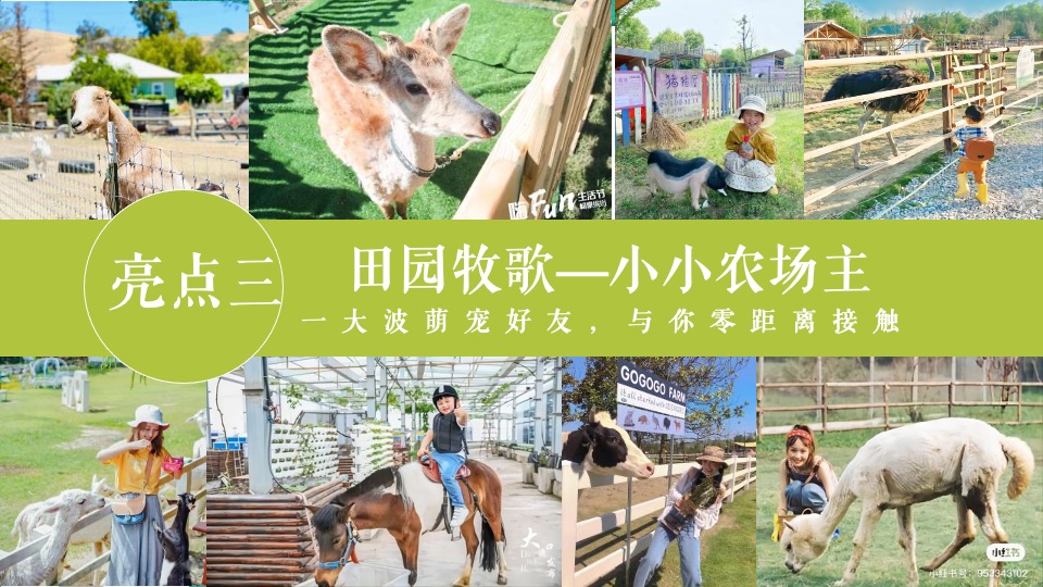 地产项目农耕农场亲子游园会（收藏丰收野趣主题）活动策划方案