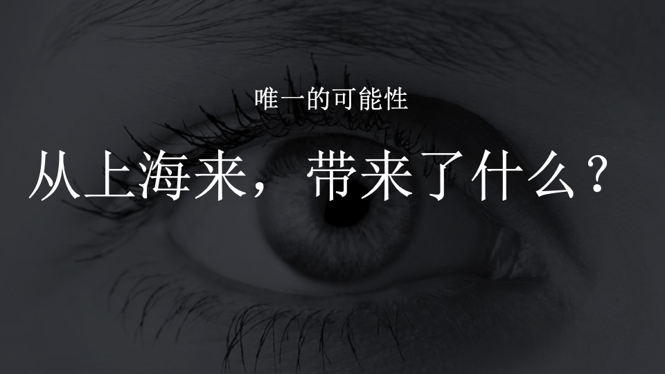 绿地海上公元项目落地定位及传播案上海甬道