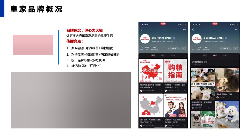 宠物食品PURINA小红书年度运营策划方案