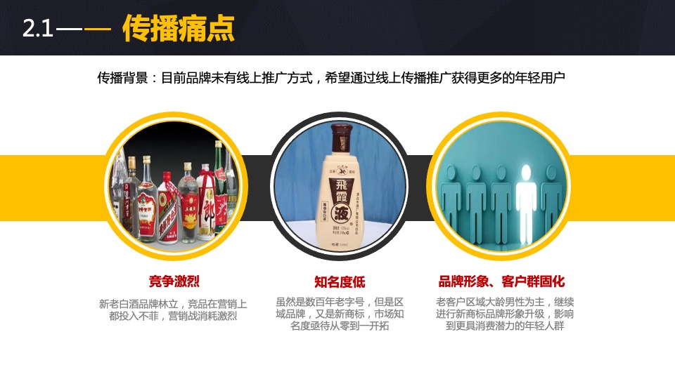 酒类品牌网络传播方案