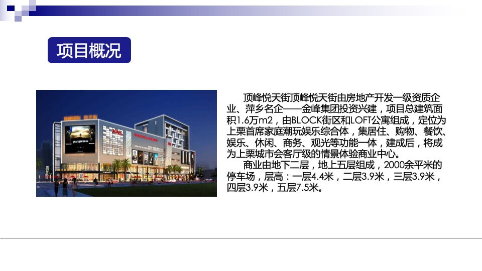 顶峰悦天街调研定位报告