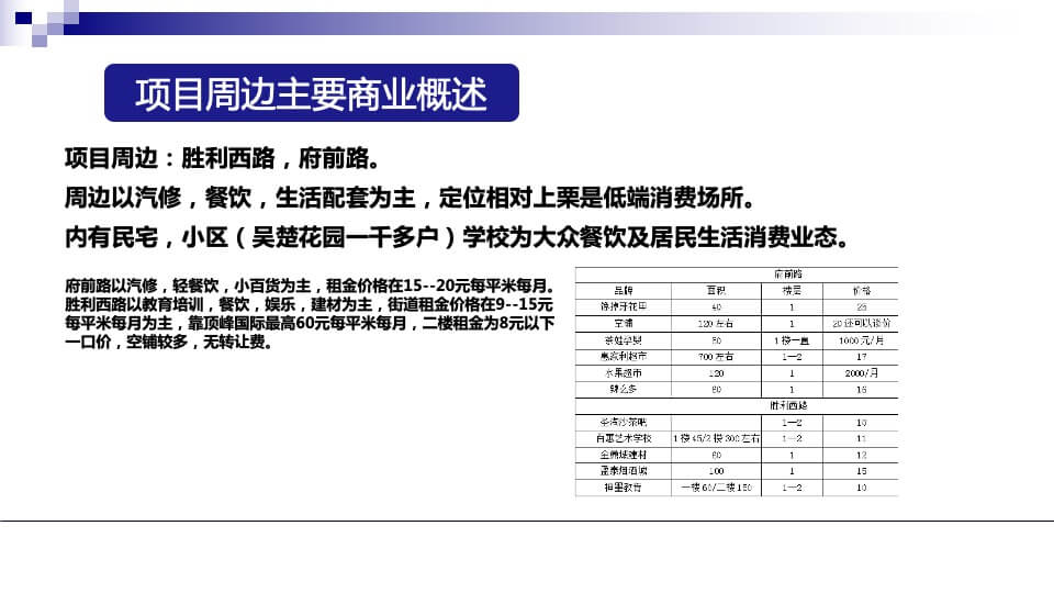 顶峰悦天街调研定位报告