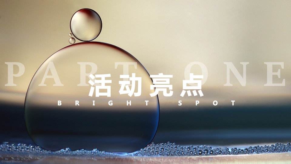 地产项目售楼处及展厅开放（大美无界 锦上传奇主题）活动策划方案