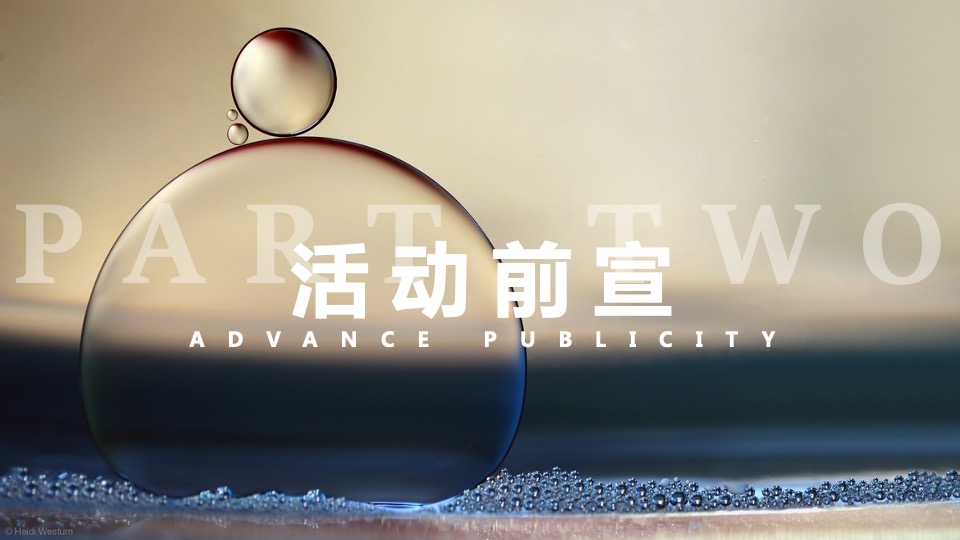 地产项目售楼处及展厅开放（大美无界 锦上传奇主题）活动策划方案