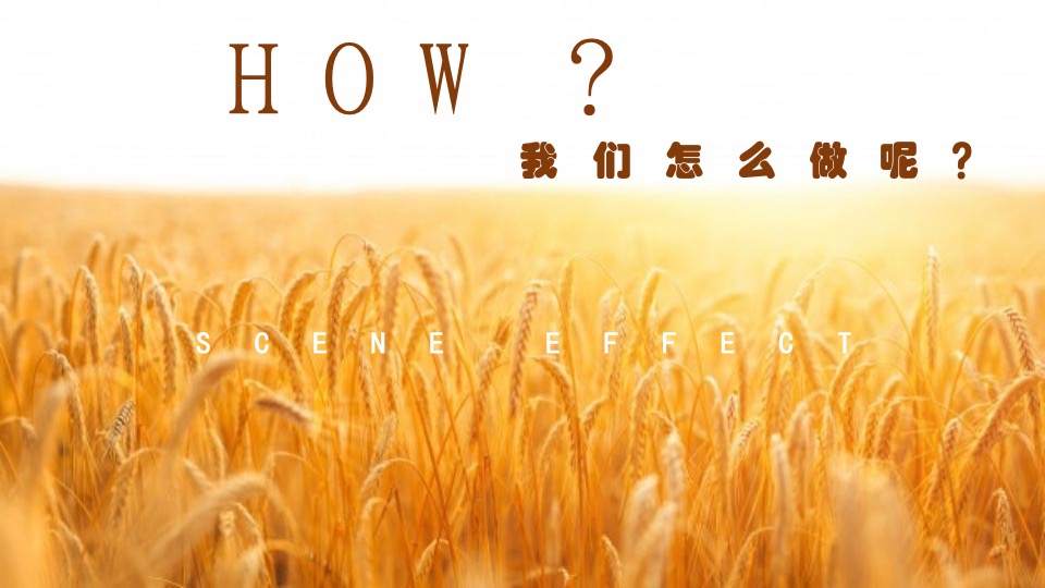 商业购物中心秋季热恋麦田主题IP展活动策划方案