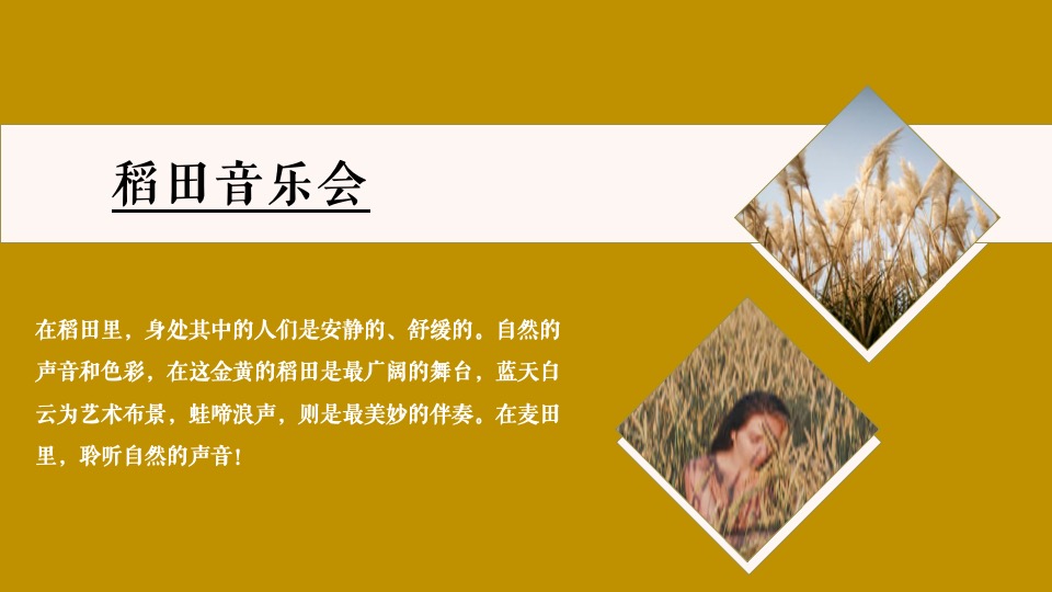 稻田音乐会活动策划方案