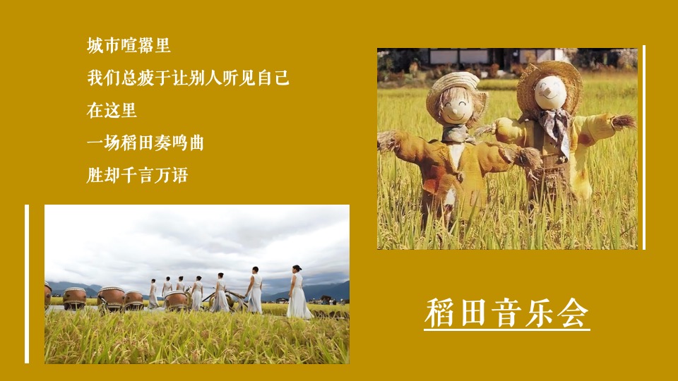 稻田音乐会活动策划方案