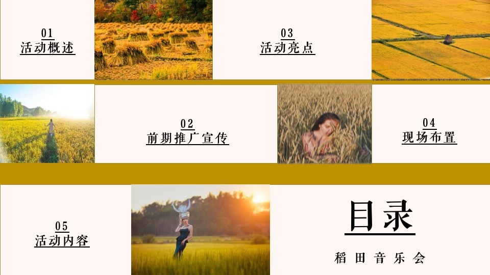 稻田音乐会活动策划方案