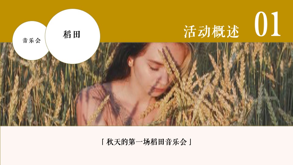 稻田音乐会活动策划方案