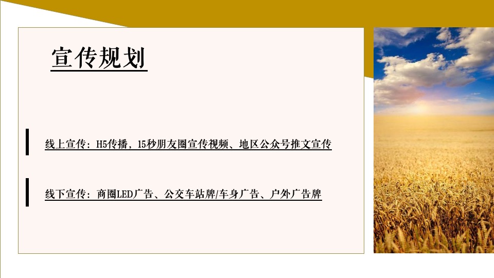 稻田音乐会活动策划方案