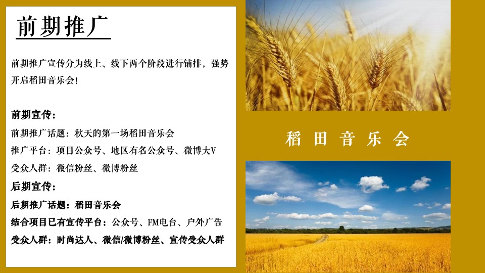 稻田音乐会活动策划方案