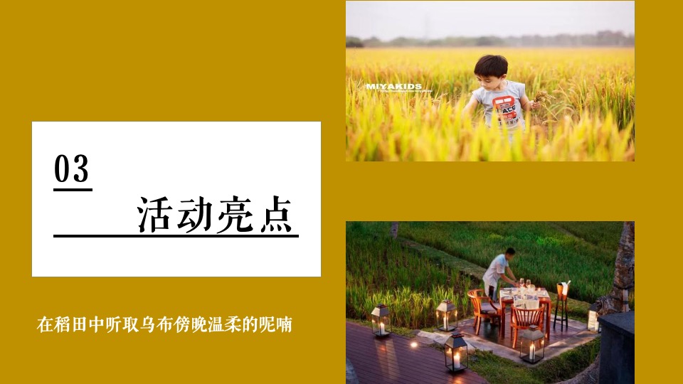 稻田音乐会活动策划方案