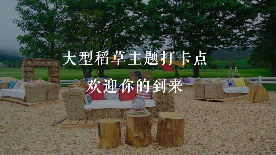 稻田音乐会活动策划方案