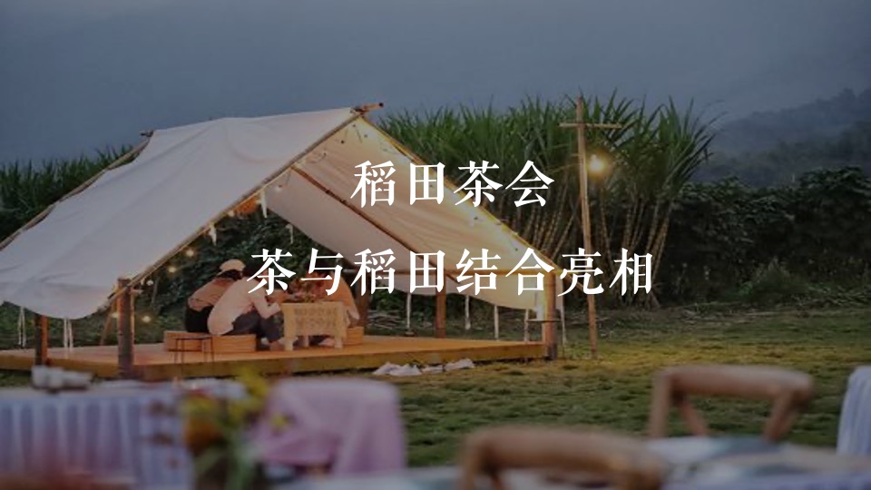 稻田音乐会活动策划方案