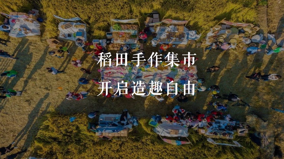 稻田音乐会活动策划方案