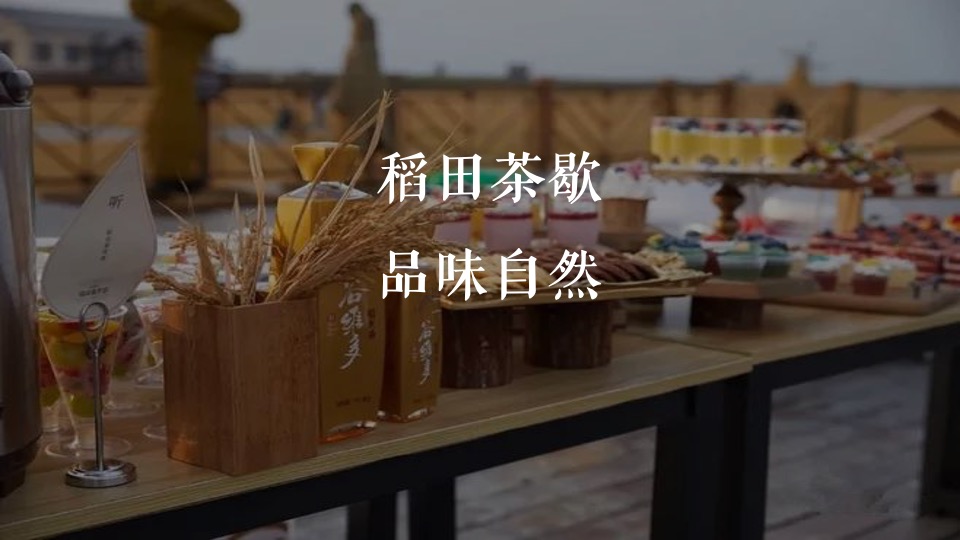 稻田音乐会活动策划方案