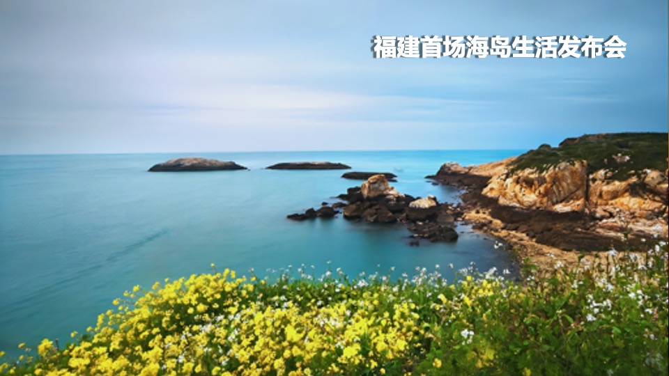 地产项目产品发布盛典（但邀山海入岛来主题）活动策划方案