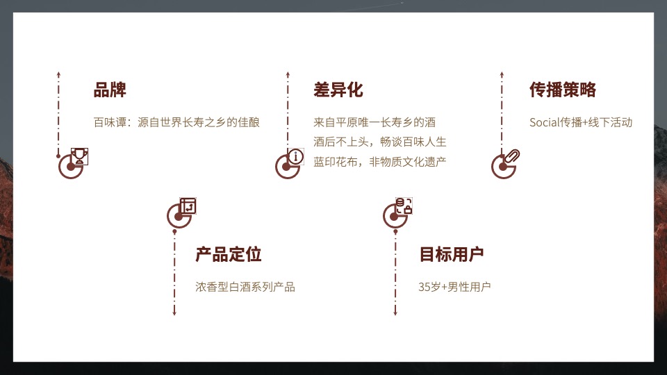 白酒品牌SOCIAL品牌传播方案