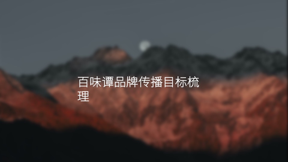 白酒品牌SOCIAL品牌传播方案