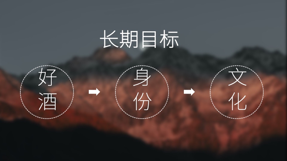 白酒品牌SOCIAL品牌传播方案