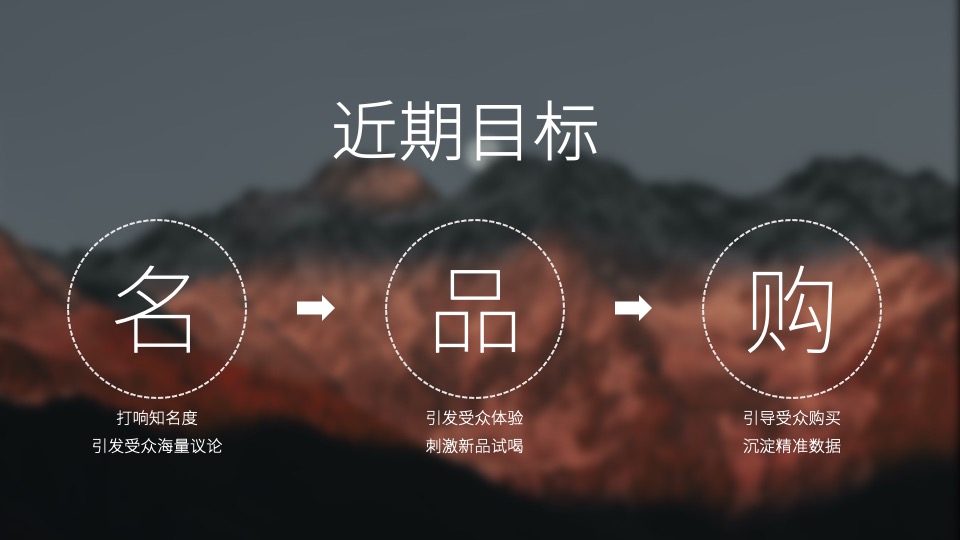 白酒品牌SOCIAL品牌传播方案
