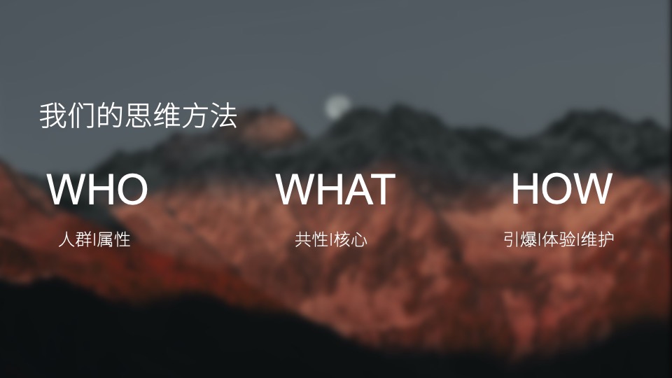 白酒品牌SOCIAL品牌传播方案