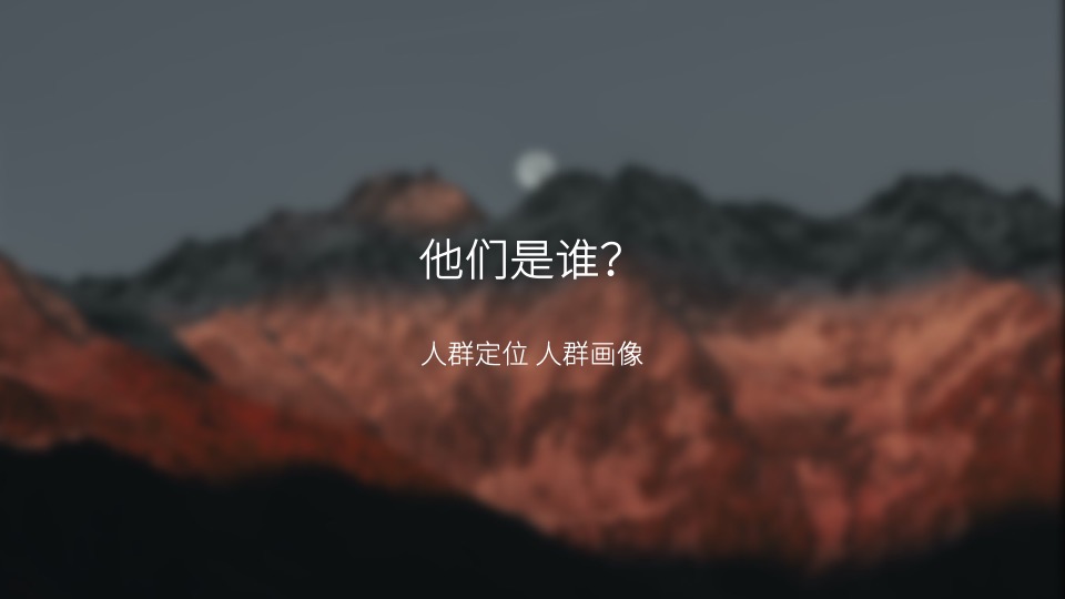 白酒品牌SOCIAL品牌传播方案