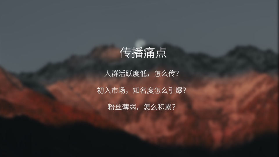 白酒品牌SOCIAL品牌传播方案