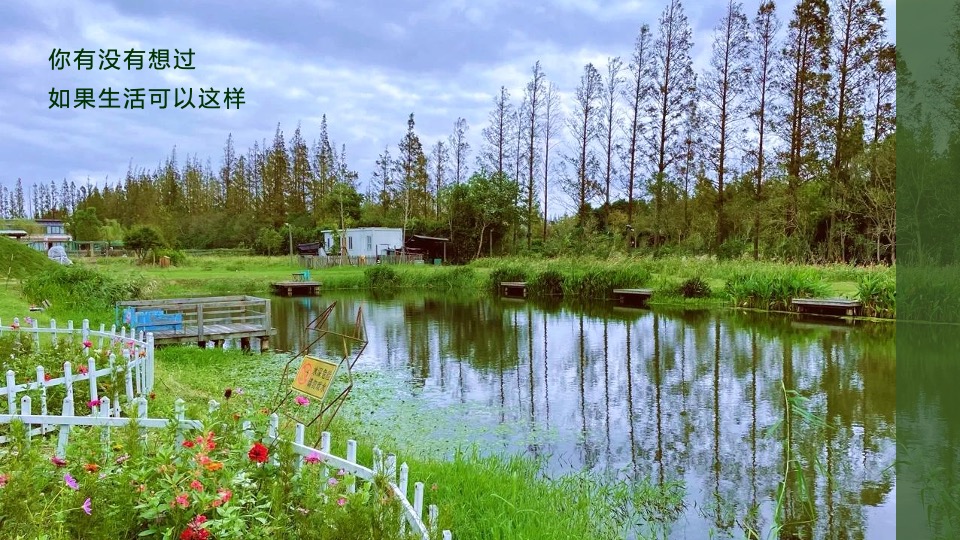 文旅项目金秋露营亲子农场系列（ 秋田月下主题）活动策划方案