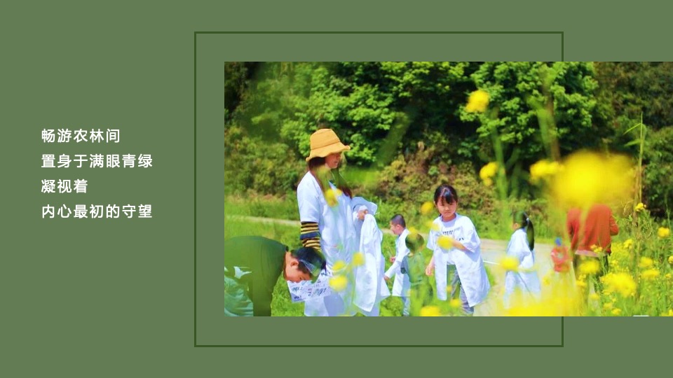 文旅项目金秋露营亲子农场系列（ 秋田月下主题）活动策划方案