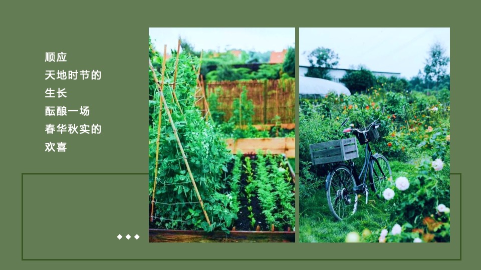 文旅项目金秋露营亲子农场系列（ 秋田月下主题）活动策划方案