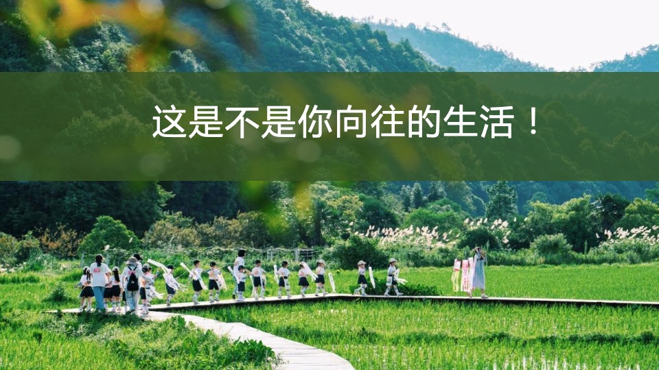 文旅项目金秋露营亲子农场系列（ 秋田月下主题）活动策划方案