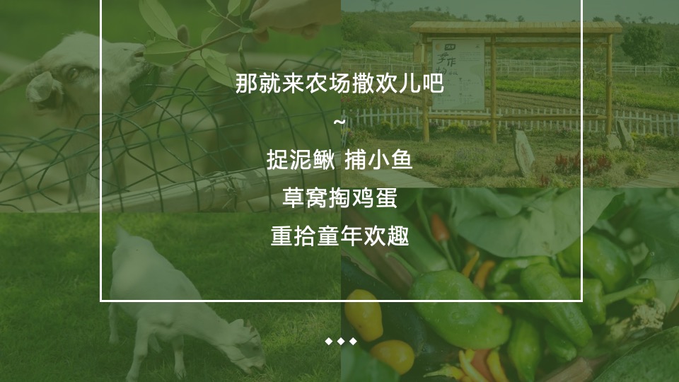 文旅项目金秋露营亲子农场系列（ 秋田月下主题）活动策划方案