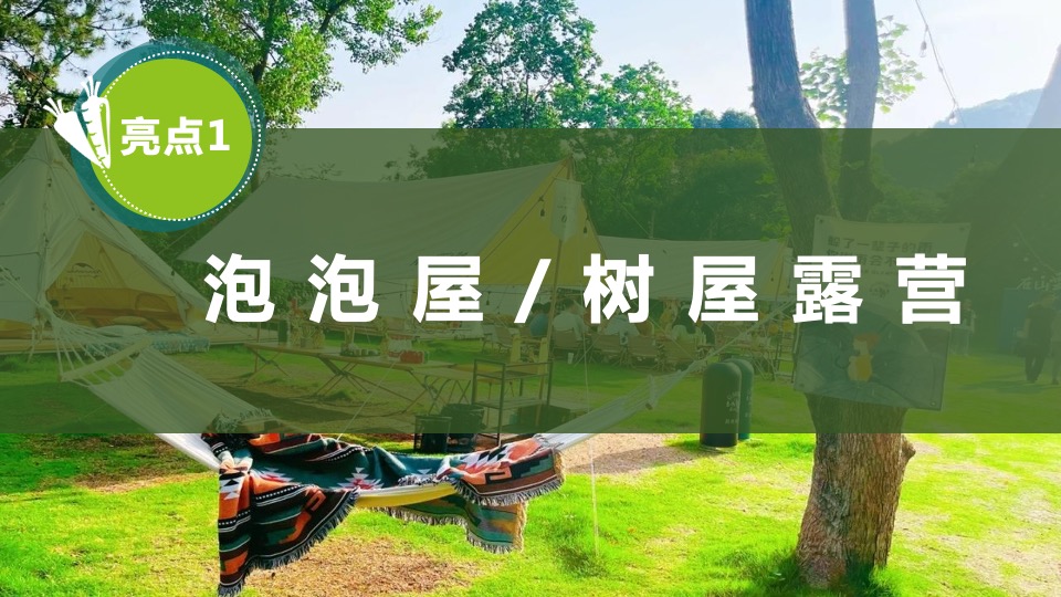 文旅项目金秋露营亲子农场系列（ 秋田月下主题）活动策划方案