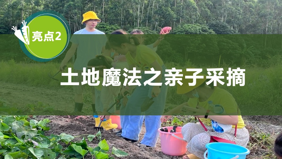 文旅项目金秋露营亲子农场系列（ 秋田月下主题）活动策划方案