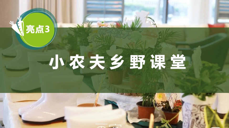 文旅项目金秋露营亲子农场系列（ 秋田月下主题）活动策划方案