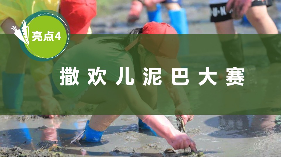 文旅项目金秋露营亲子农场系列（ 秋田月下主题）活动策划方案