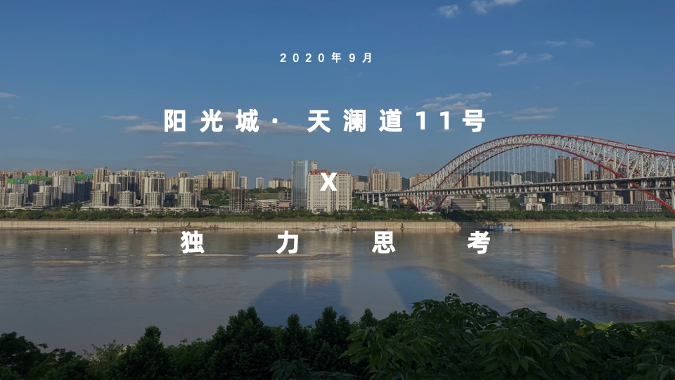 阳光城·天澜道11号项目年度推广方案#大平层##楼王##收官#