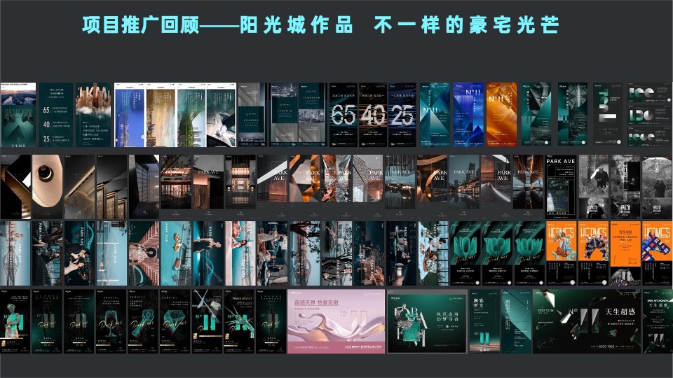 阳光城·天澜道11号项目年度推广方案#大平层##楼王##收官#