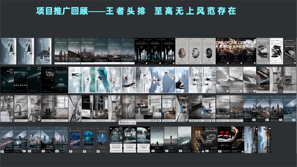 阳光城·天澜道11号项目年度推广方案#大平层##楼王##收官#