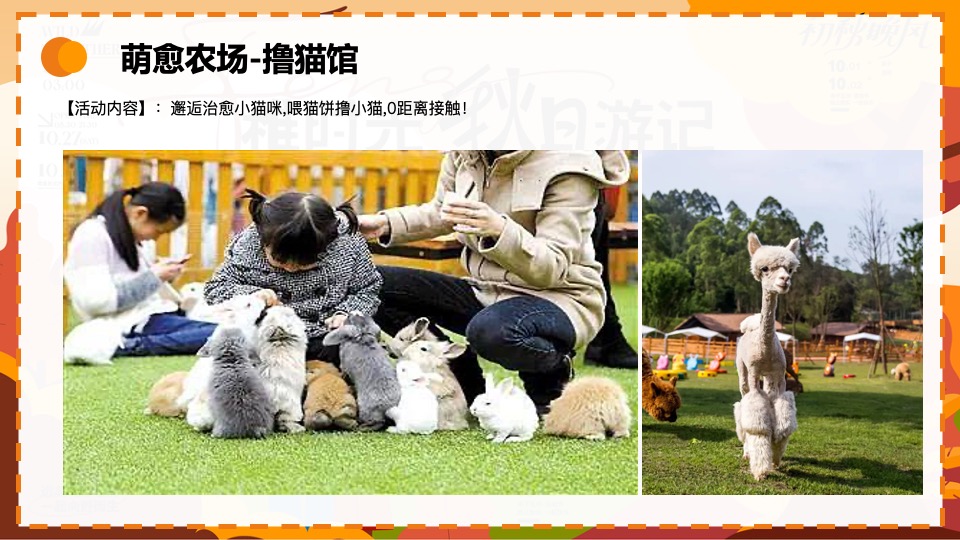 地产项目城市户外露营计划（稚时光 秋日游记主题）活动策划方案