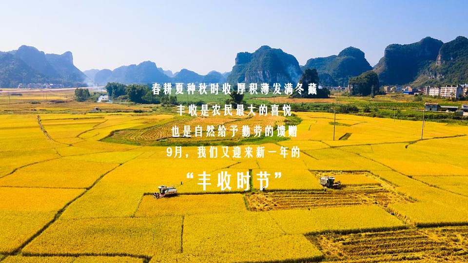 中国农民丰收节（庆丰收·迎盛会主题）活动策划方案