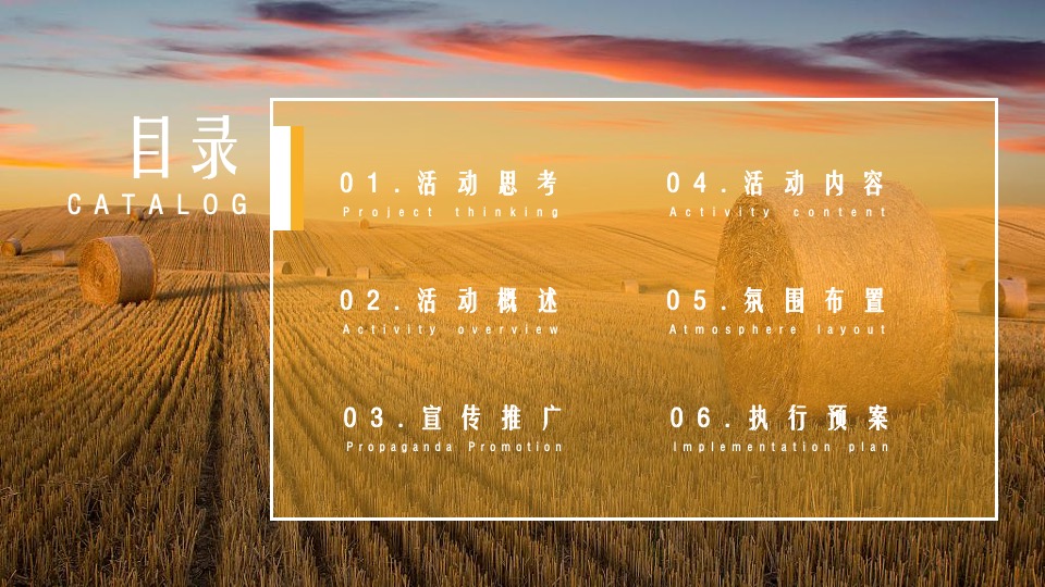 中国农民丰收节（庆丰收·迎盛会主题）活动策划方案