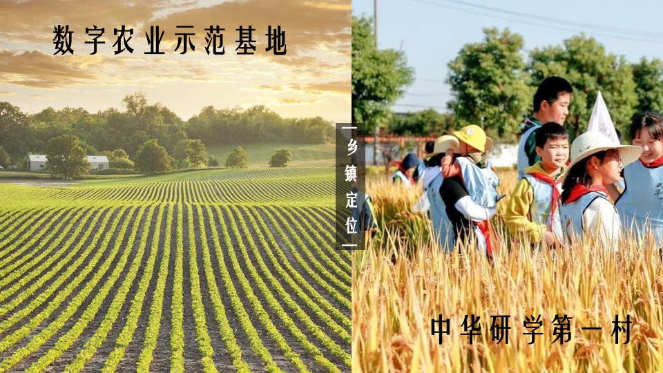 中国农民丰收节（庆丰收·迎盛会主题）活动策划方案