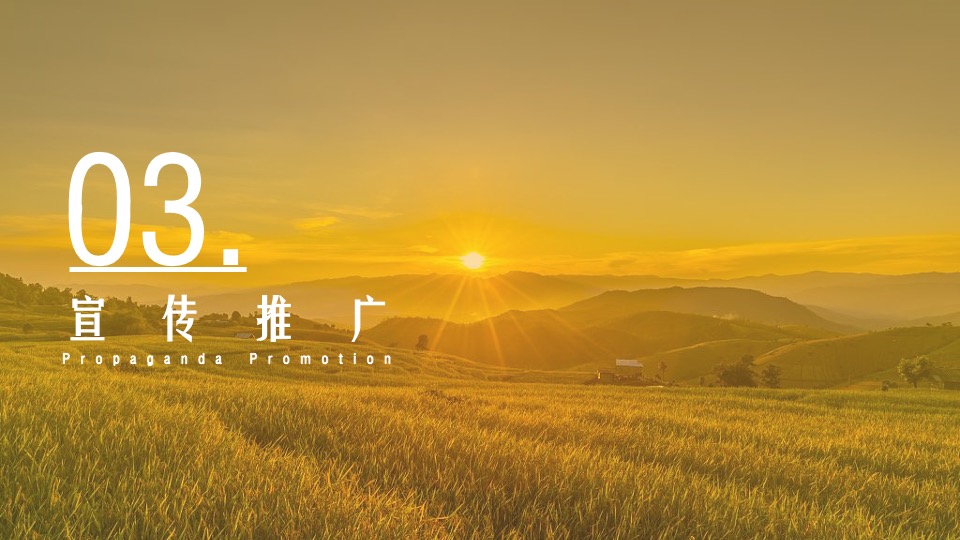 中国农民丰收节（庆丰收·迎盛会主题）活动策划方案