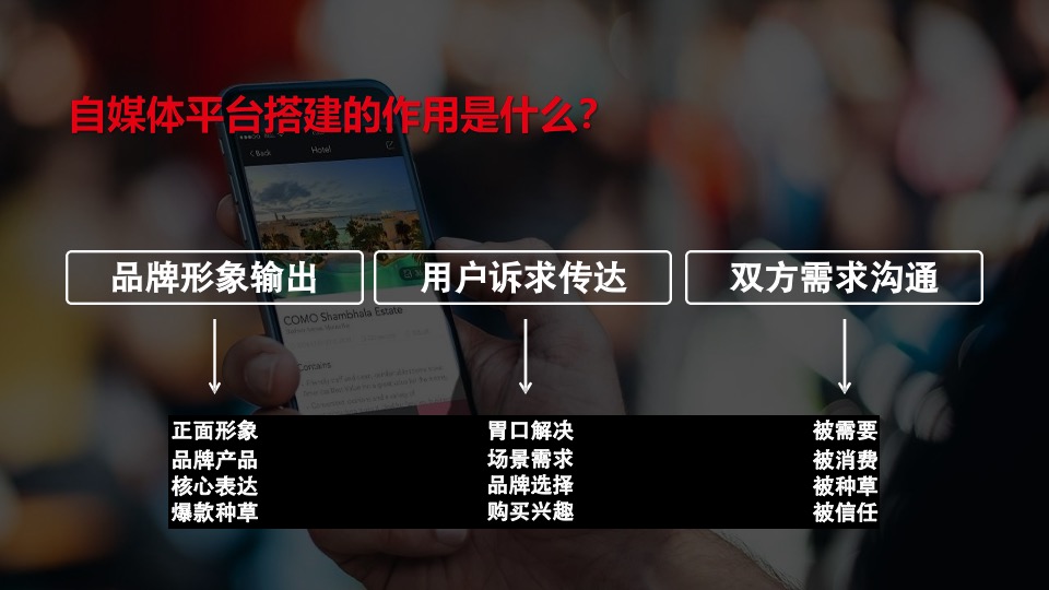 盼盼食品新媒体运营方案