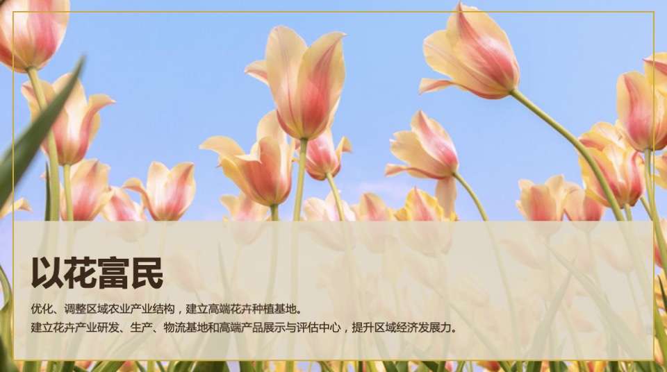 三亚国际花卉旅游节活动策划方案