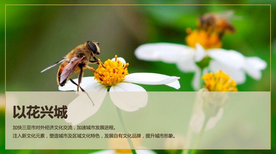 三亚国际花卉旅游节活动策划方案